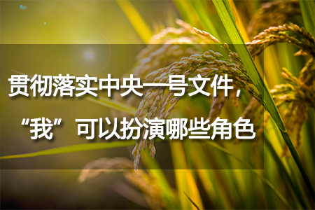 貫徹落實(shí)中央一號(hào)文件，“我”可以扮演哪些角色？